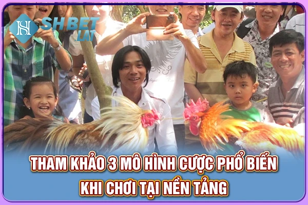 Tham khảo 3 mô hình cược phổ biến khi chơi tại nền tảng